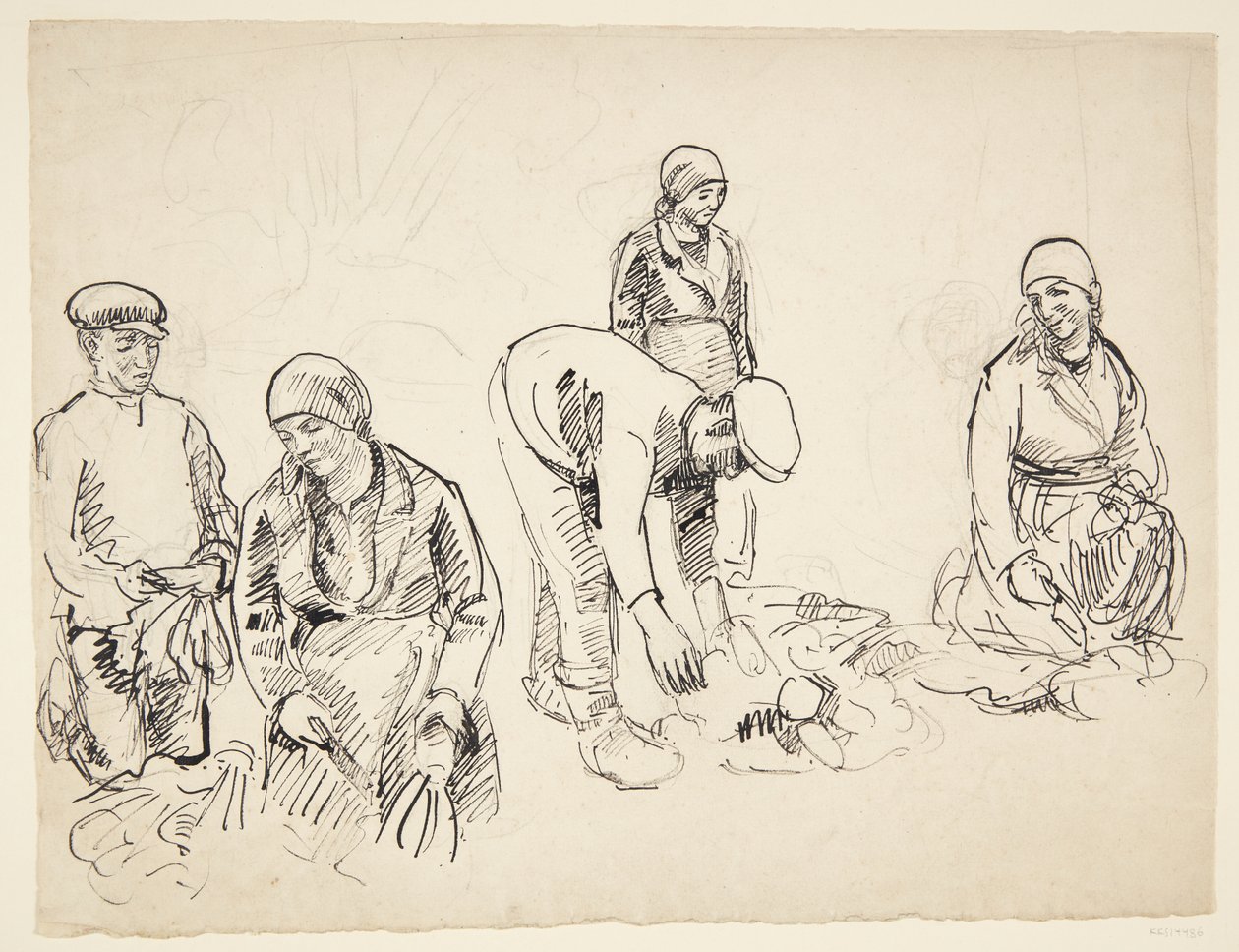 Bietenrooiers. Studieblad door Peter Hansen