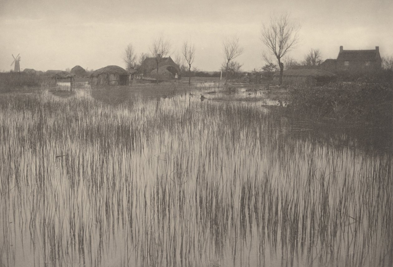 Een rietachtige kust door Peter Henry Emerson