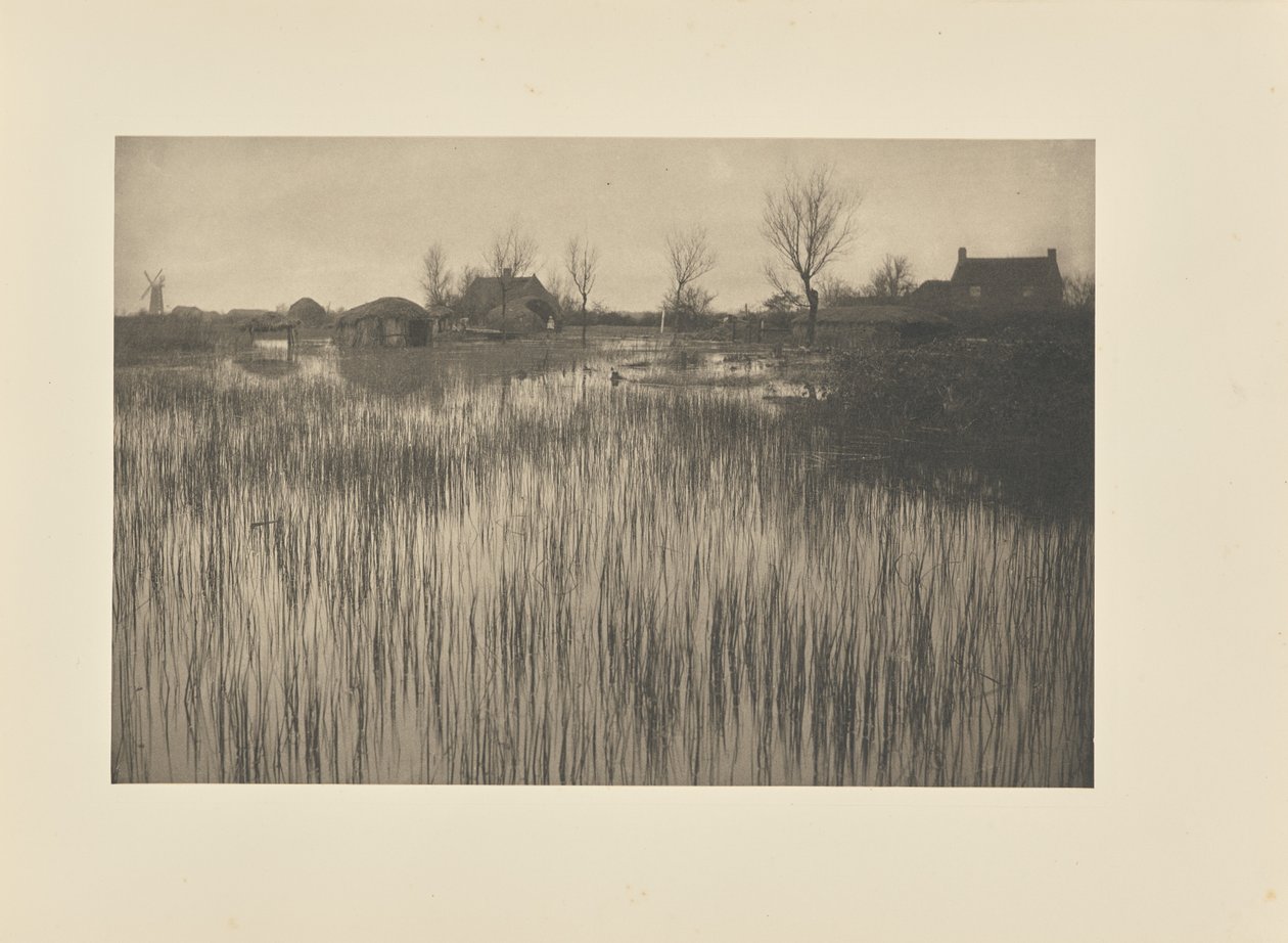 Een woeste kust door Peter Henry Emerson