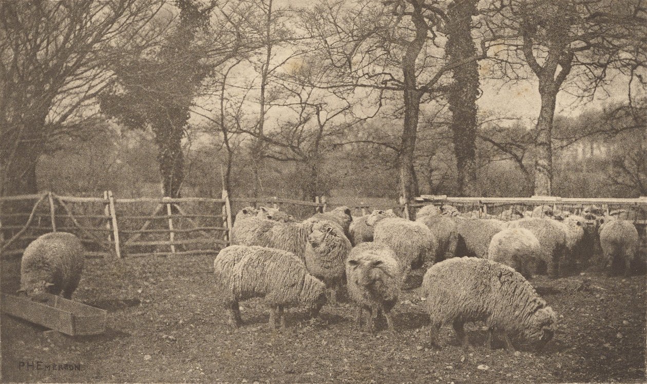 Een herfstpastorale door Peter Henry Emerson