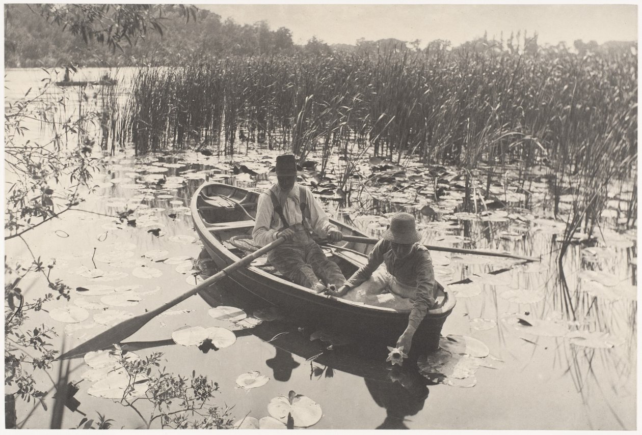 Waterlelies plukken door Peter Henry Emerson