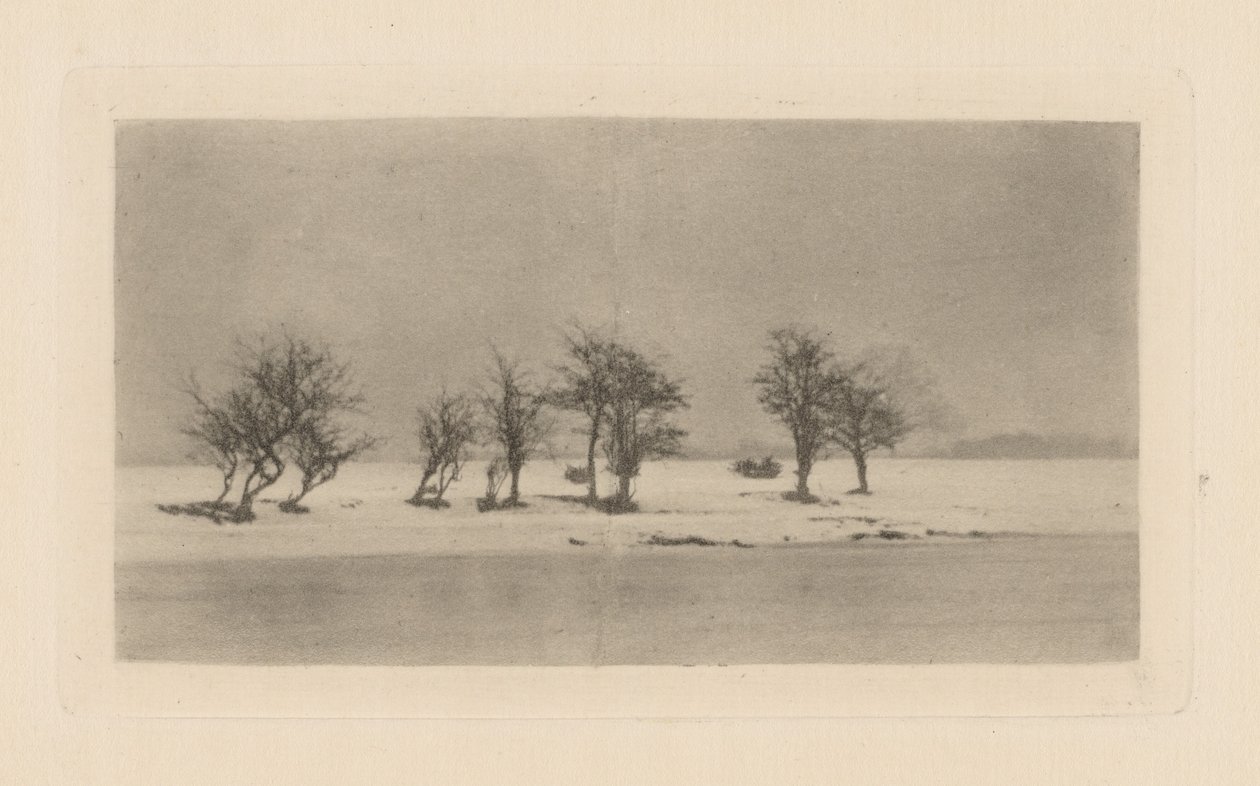 Knoestige Doornbomen door Peter Henry Emerson