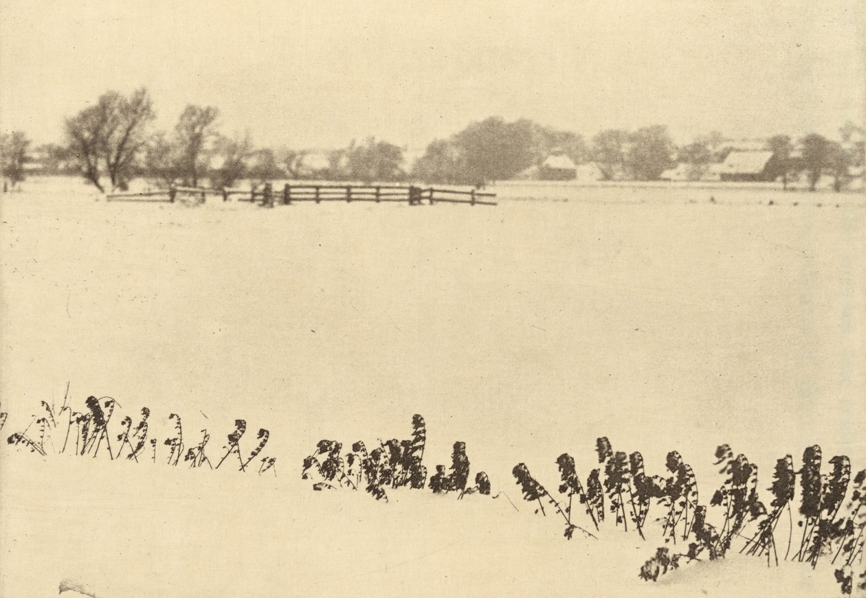 Moeras Onkruid door Peter Henry Emerson