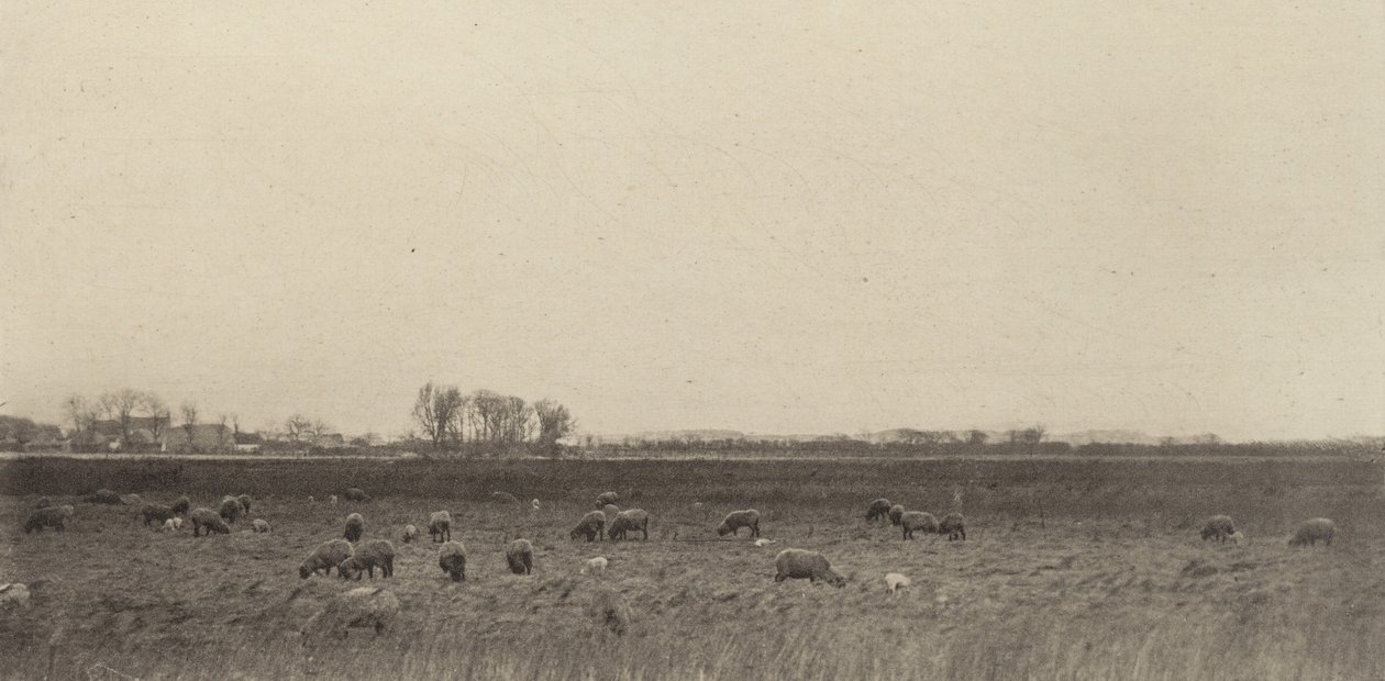 Moerassen bij de Noordzee, 1890-1891, gedrukt 1893 door Peter Henry Emerson