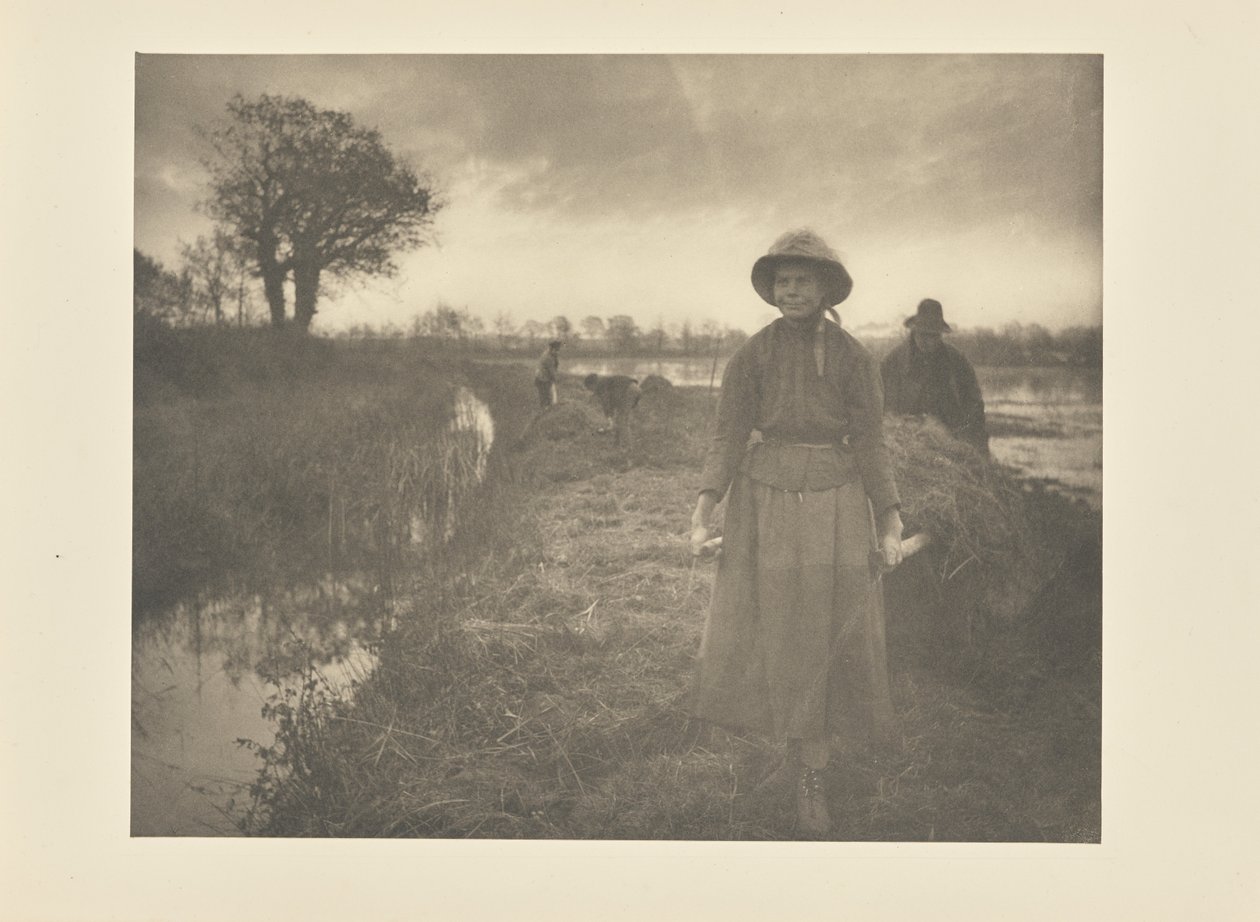 Hooien in het moeras door Peter Henry Emerson