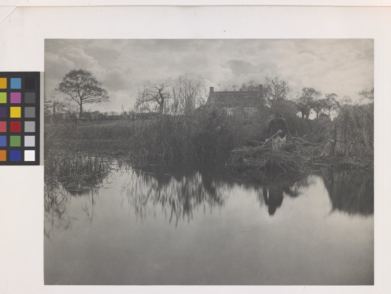 Quanting De Gladdon door Peter Henry Emerson