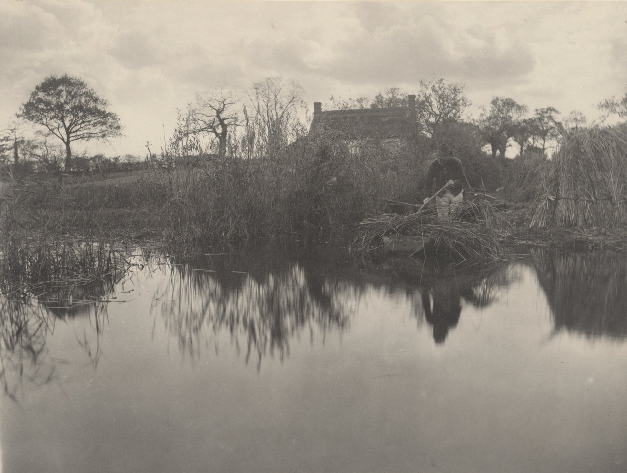 Kwantificeren van de Gladdon,1886 (foto) door Peter Henry Emerson