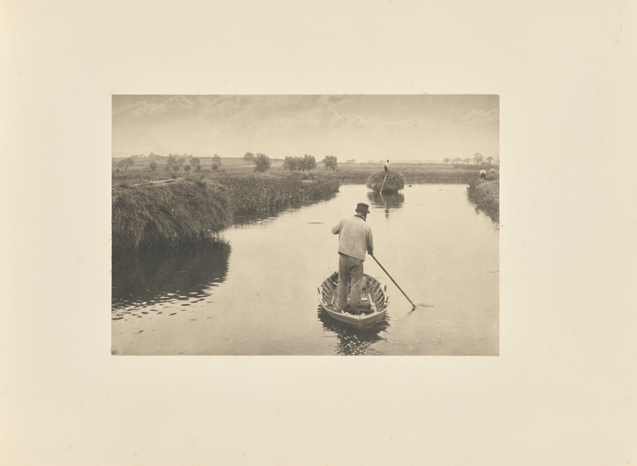 Het moerashooi kwantificeren door Peter Henry Emerson