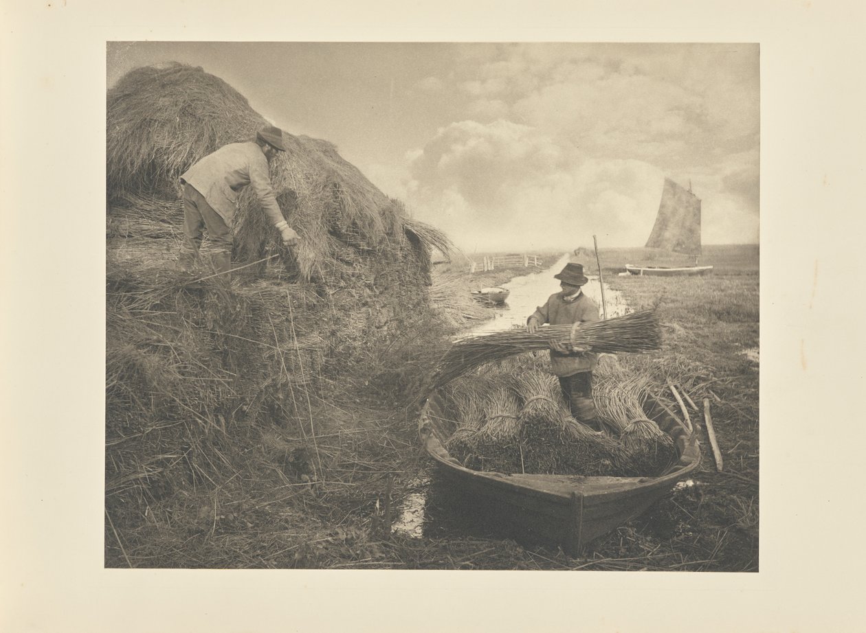 Riet opstapelen door Peter Henry Emerson