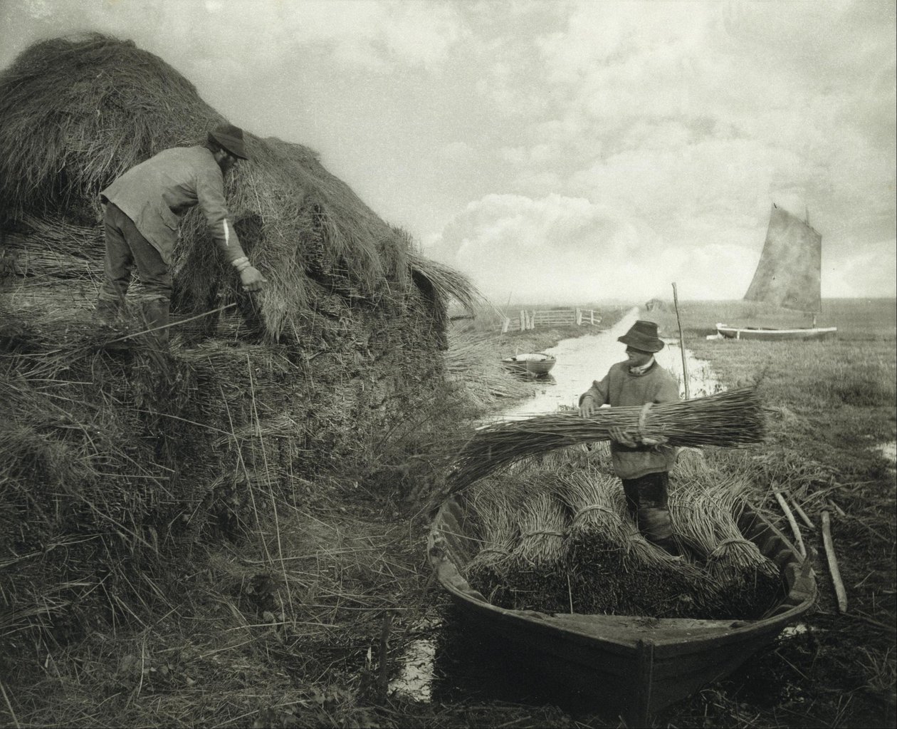 Riet opstapelen door Peter Henry Emerson