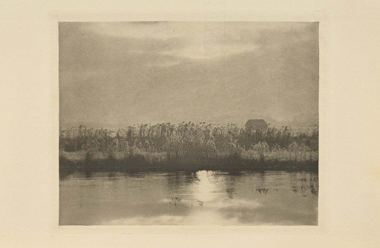 Rijpkristallen door Peter Henry Emerson