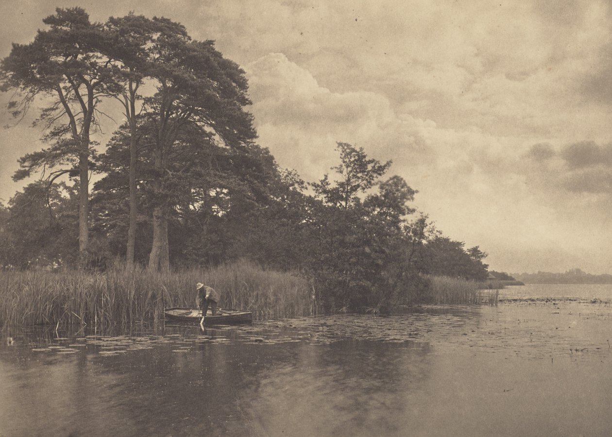 Het verblijf van de snoek door Peter Henry Emerson