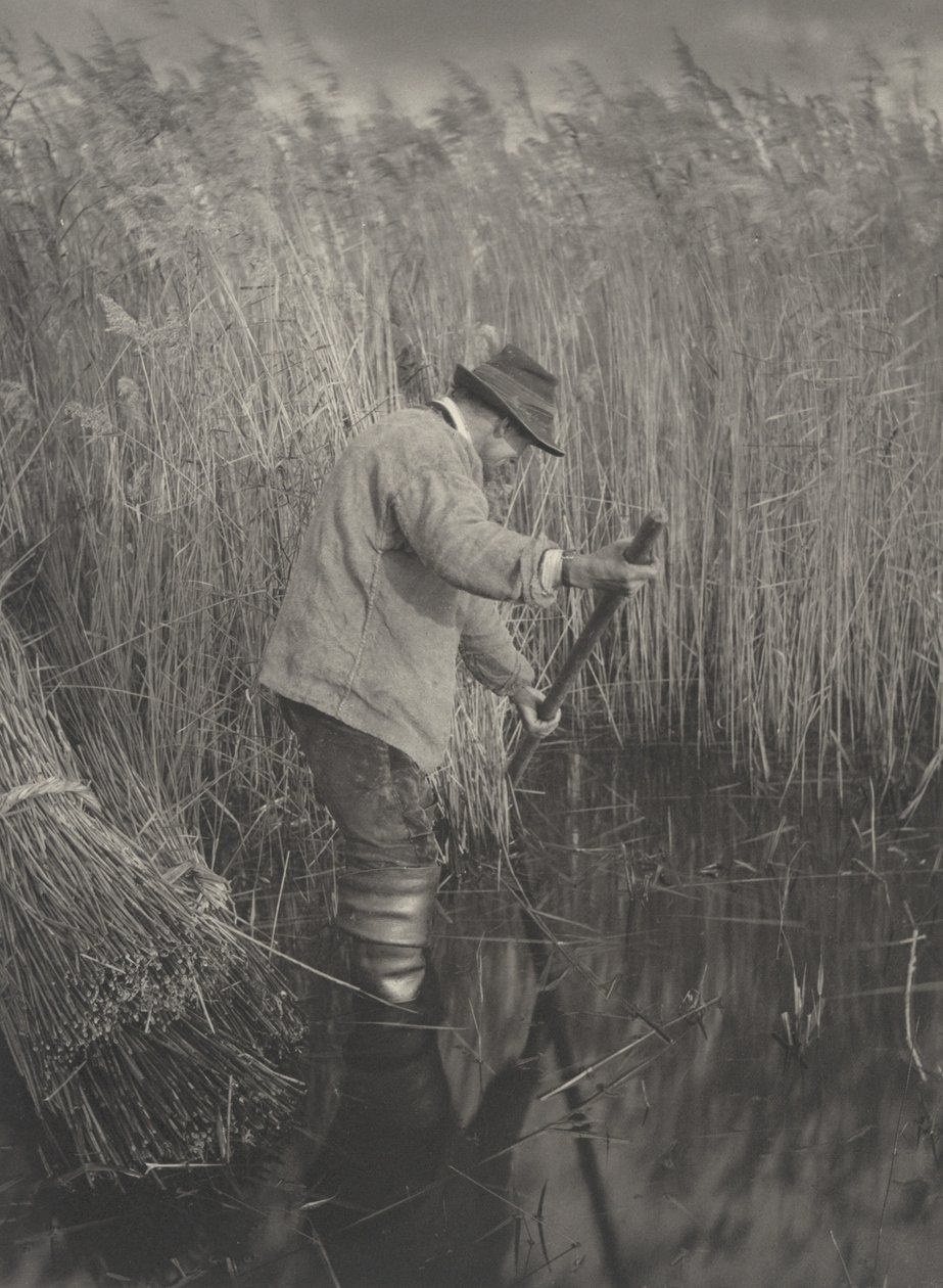Een Rietsnijder aan het Werk door Peter Henry Emerson and T.F. Goodall