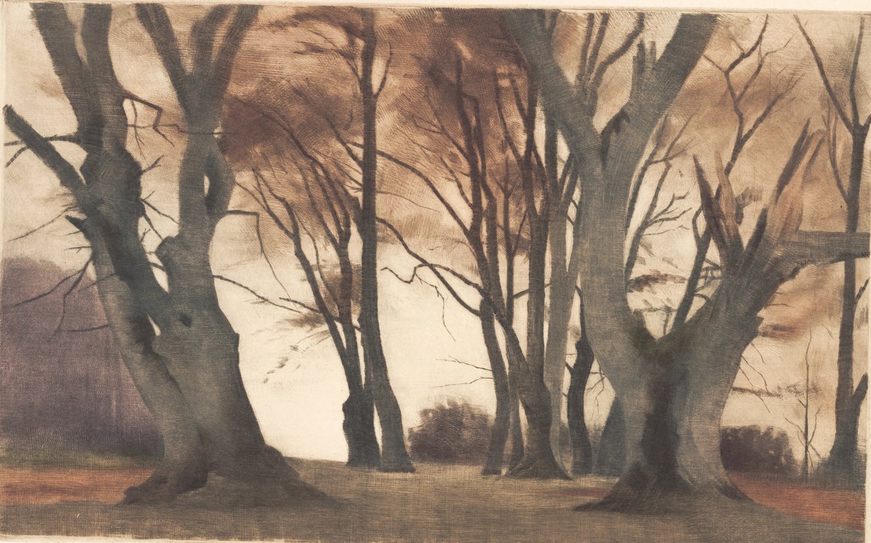 Beukenbomen in Ermelunden door Peter Vilhelm Ilsted