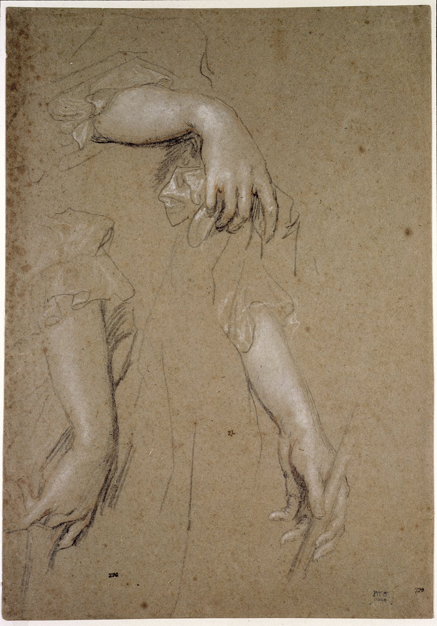 Studies van handen, 17e eeuw door Peter Lely