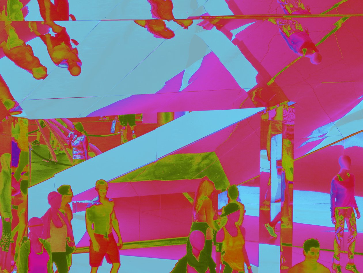 VENICE BEACH OP ZIJN KOP, 2014 door Peter McClure