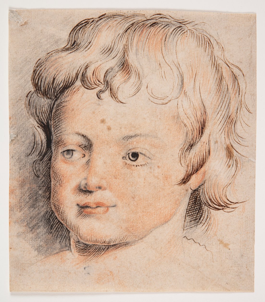 Kinderhoofd door Peter Paul Rubens