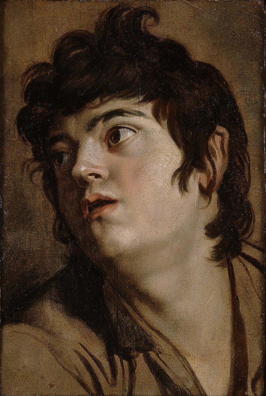 Hoofd van een jonge man door Peter Paul Rubens