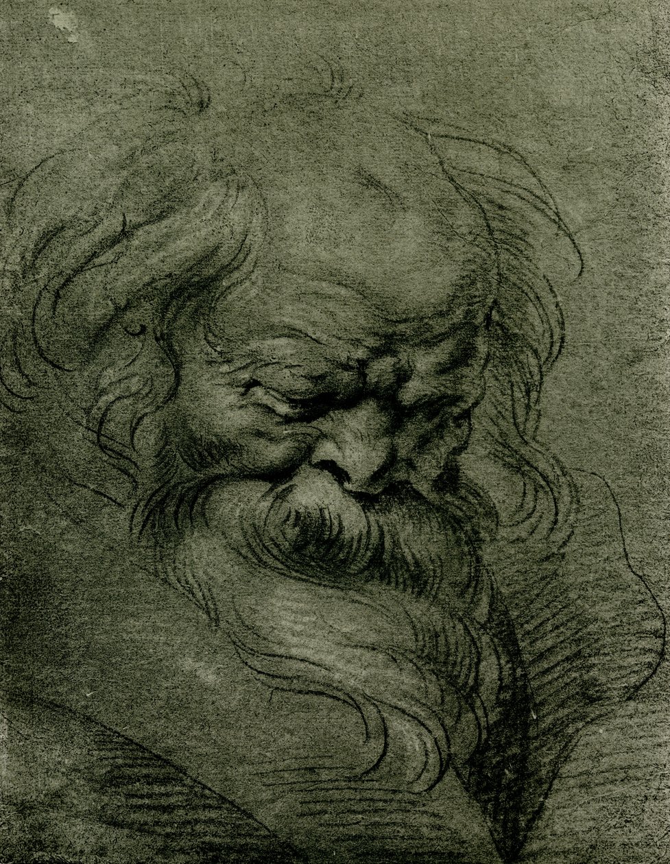 Hoofdstudie voor Bacchus door Peter Paul Rubens