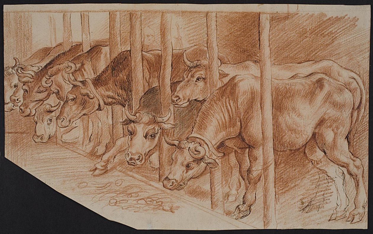 Koeien uit „De winter“ door Peter Paul Rubens