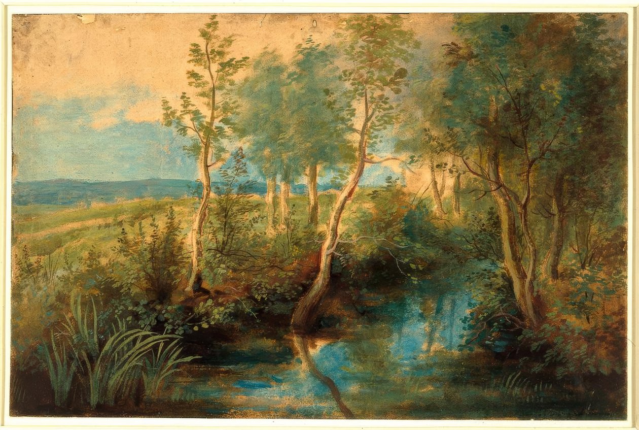 Landschap met stroom overhangend met bomen door Peter Paul Rubens