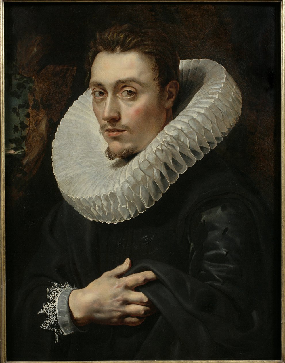 Portret van een jonge man door Peter Paul Rubens