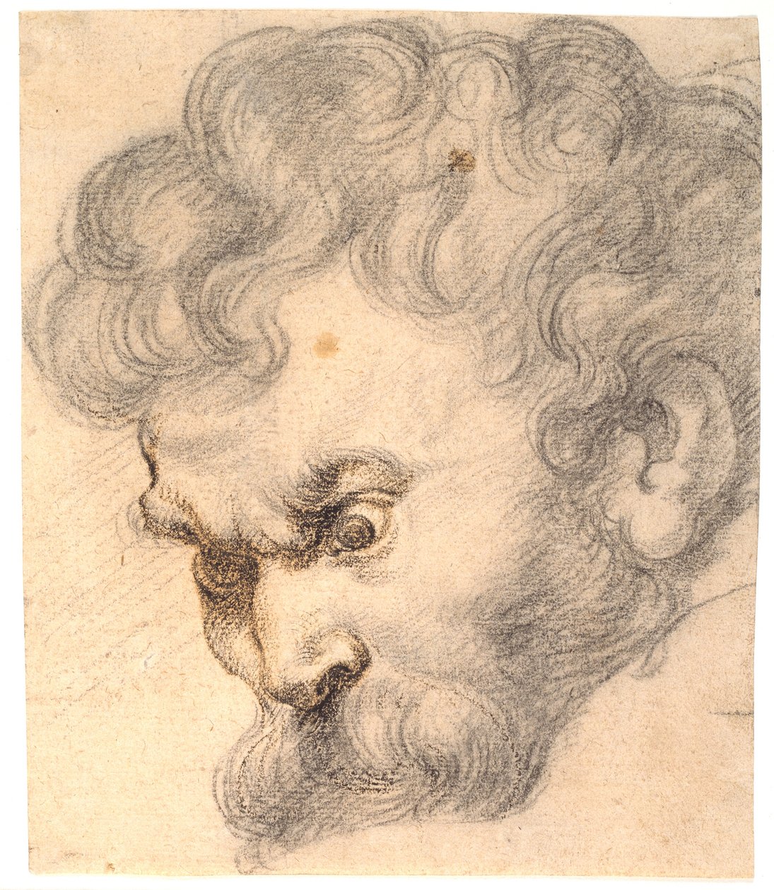 Studie van "Simson en de leeuw". Het gezicht van Simson door Peter Paul Rubens
