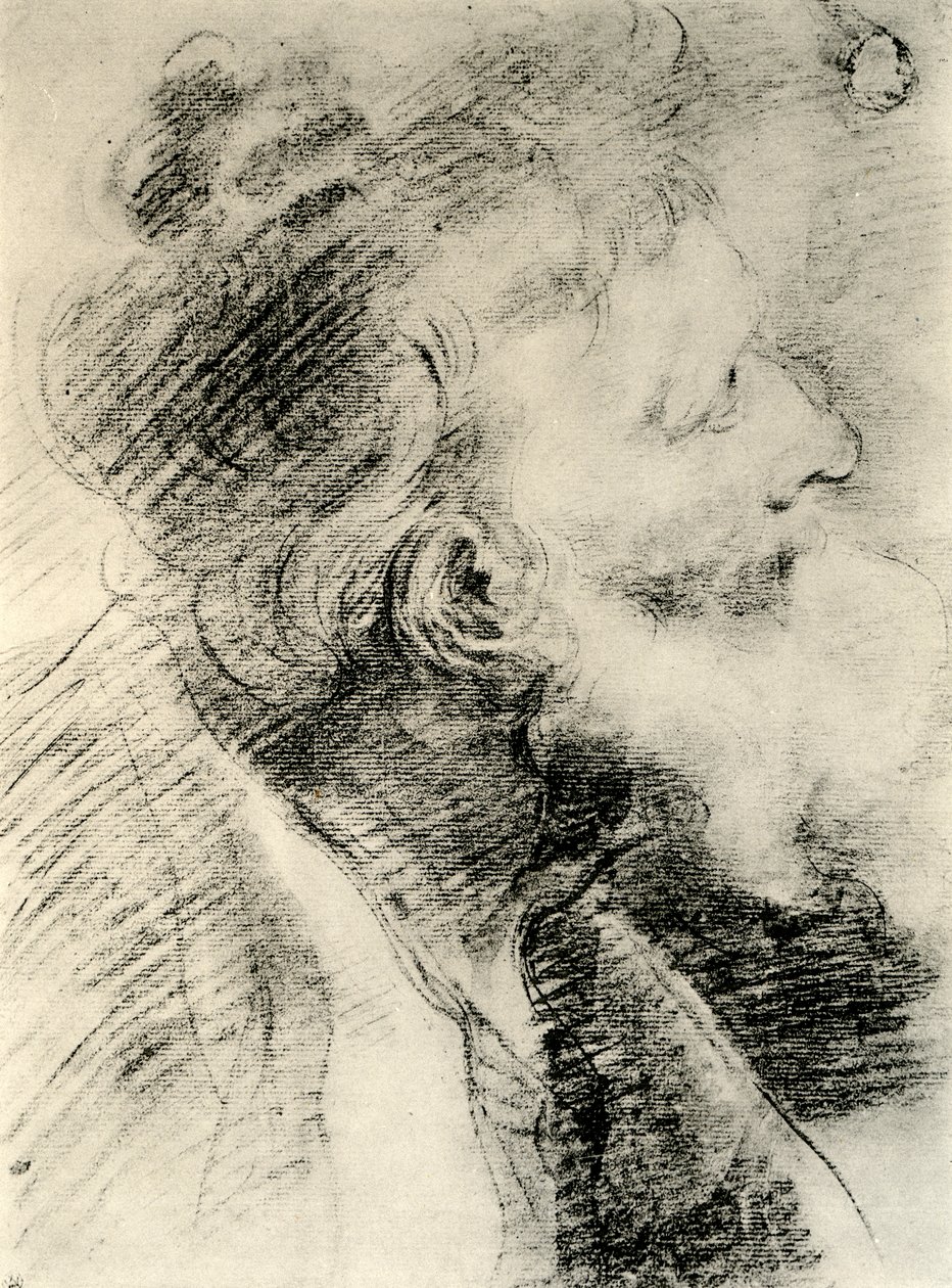 Studie voor het hoofd van een oude man, 1913 door Peter Paul Rubens