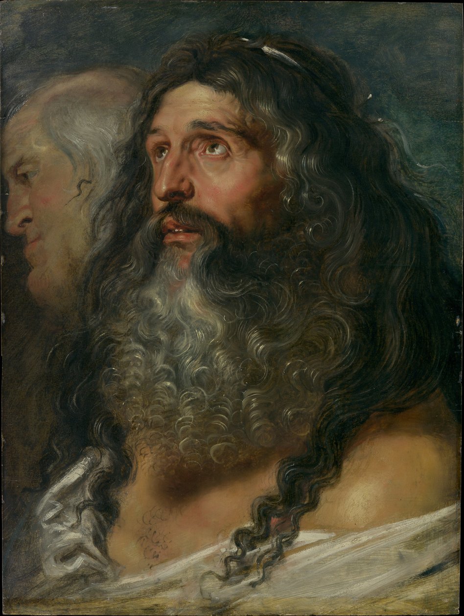 Studie van twee hoofden door Peter Paul Rubens