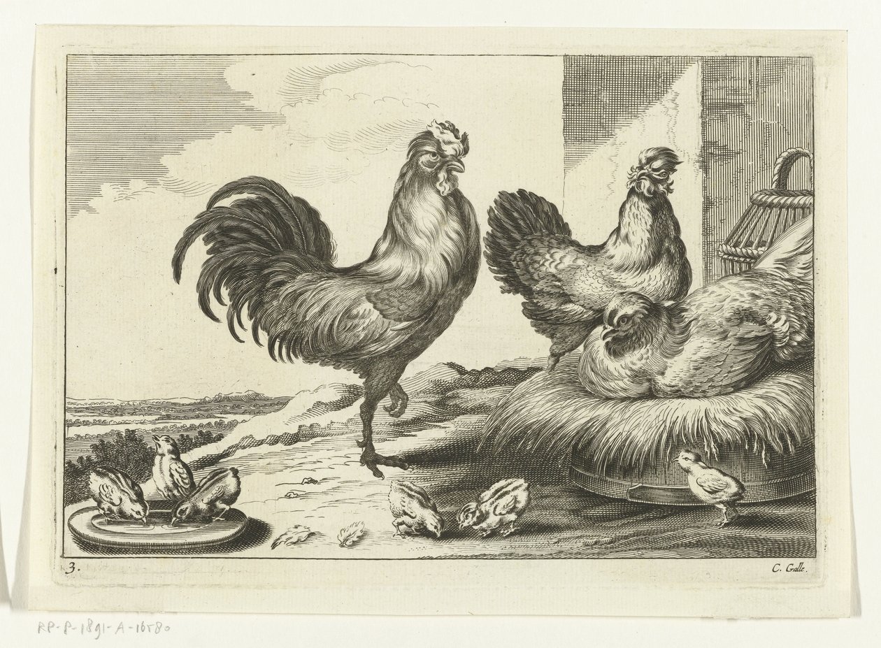 Kip, hanen en kuikens door Peter van Liesebetten