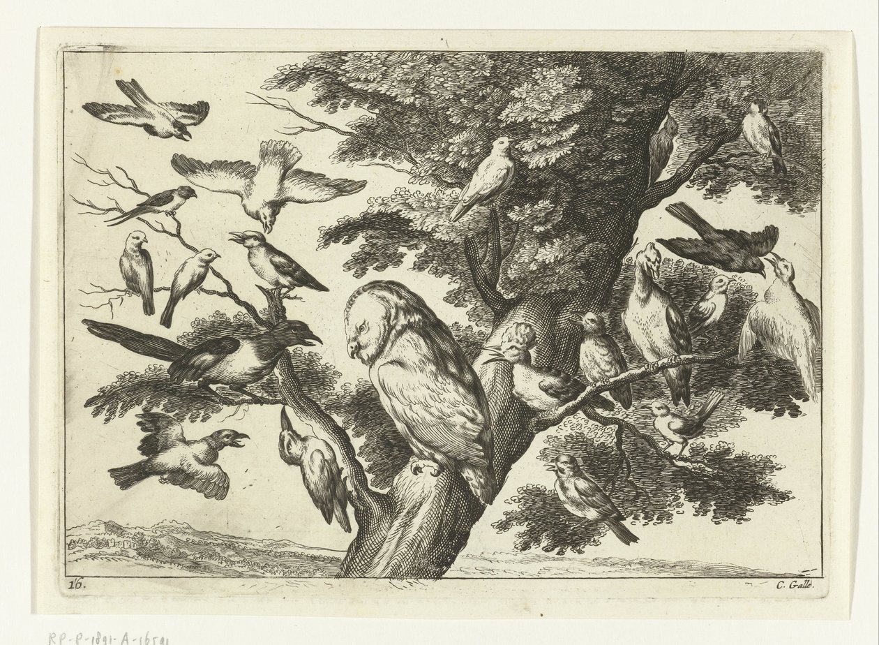 Vogels in een boom door Peter van Liesebetten