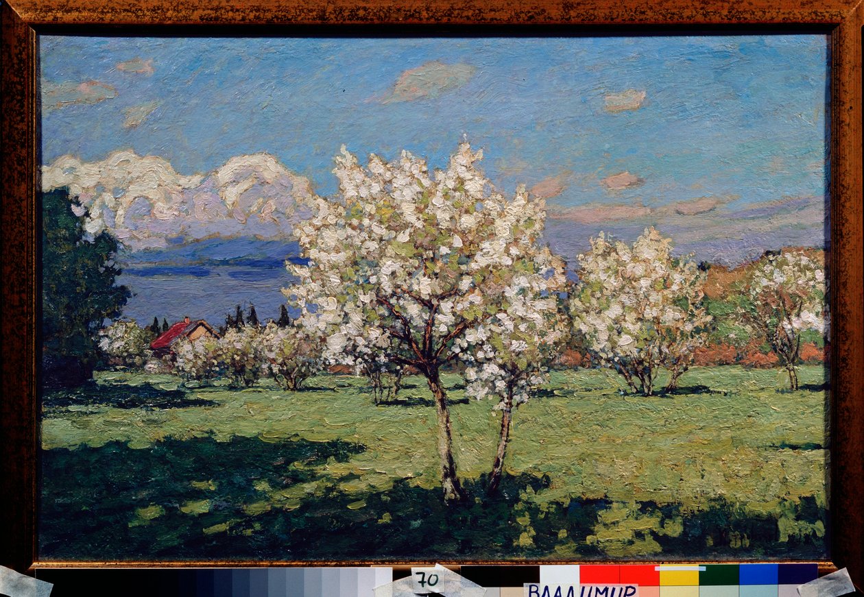 De bloeiende kersenbomen door Petr Ivanovic Petrovichev