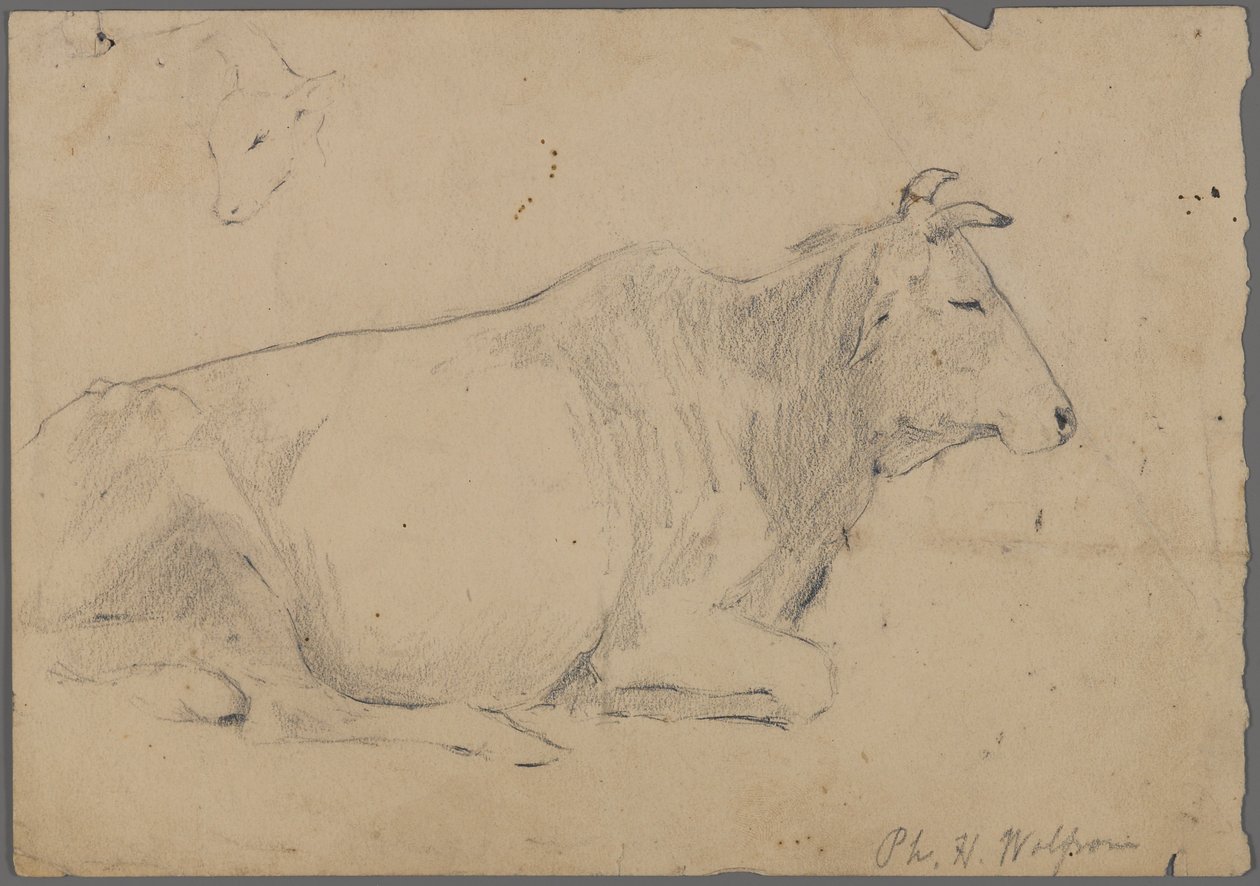 Zittende stier door Philip H. Wolfrom