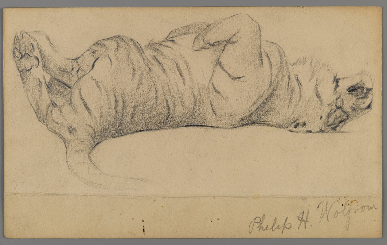 Slapende tijger door Philip H. Wolfrom