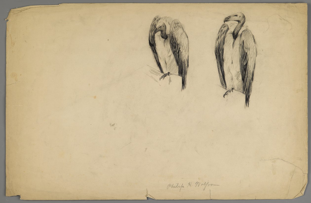 Gieren door Philip H. Wolfrom