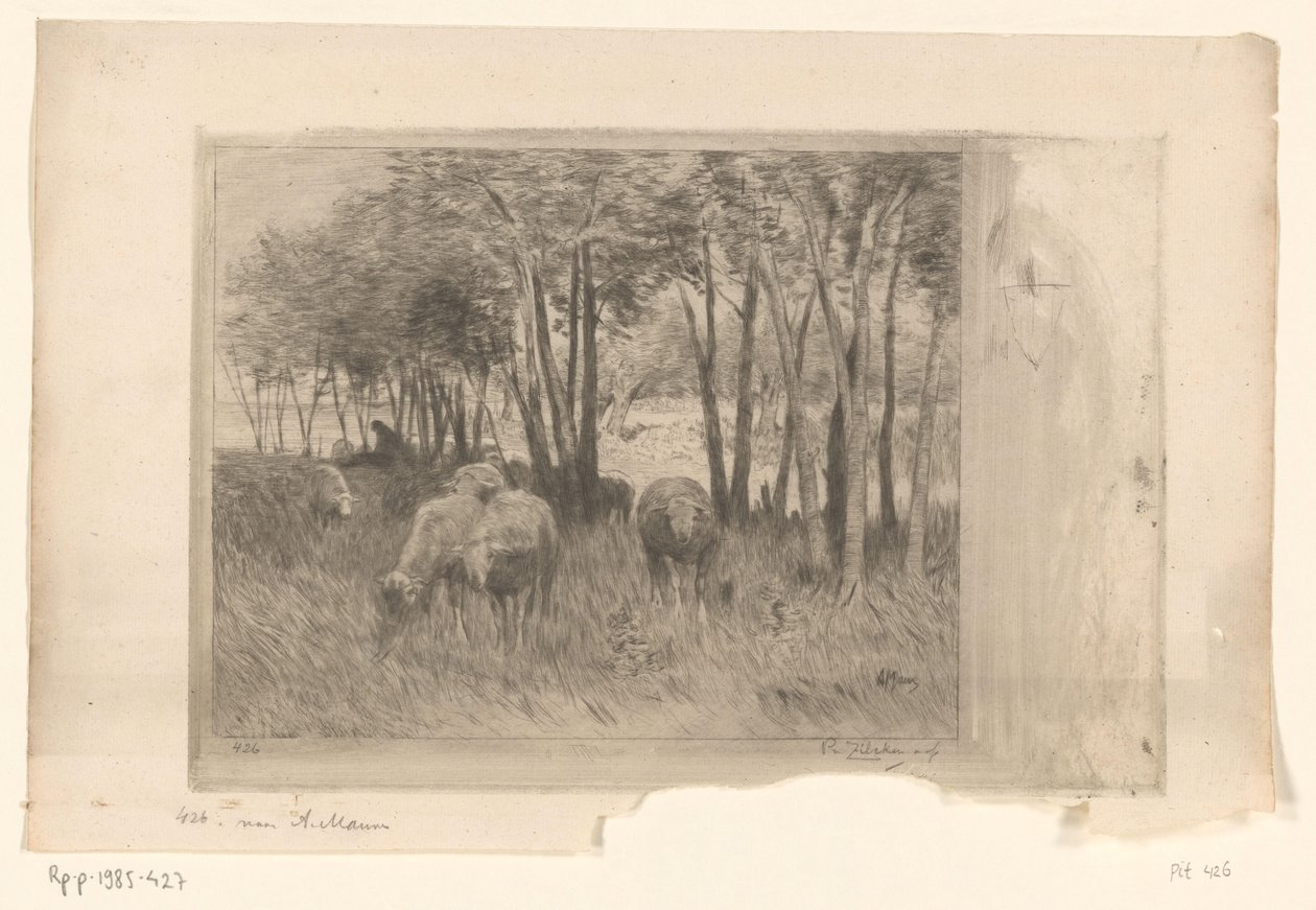 Schaapskudde en herder in een weide met bomen door Philip Zilcken (signed by artist)
