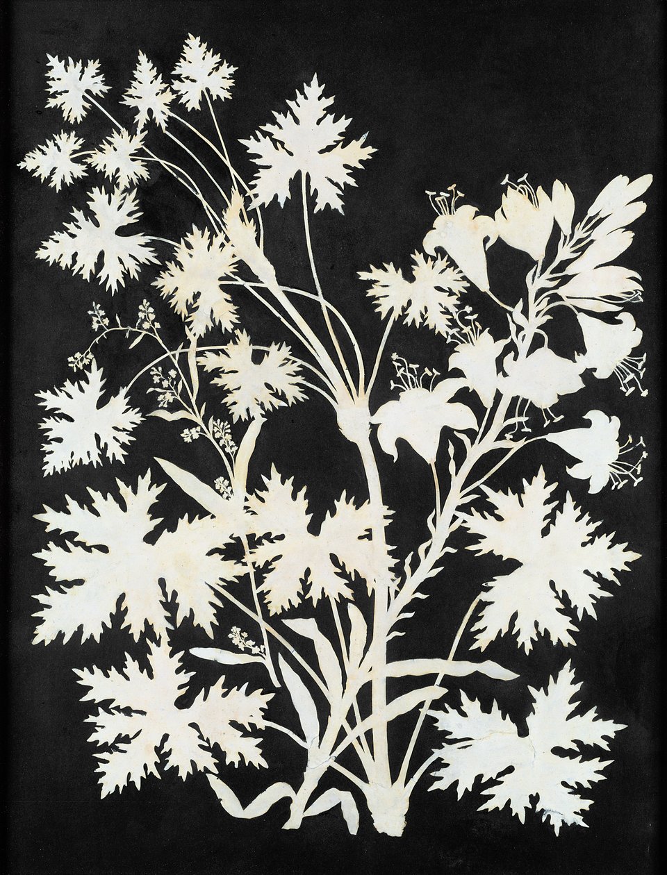 Bloemen in Silhouet door Philipp Otto Runge