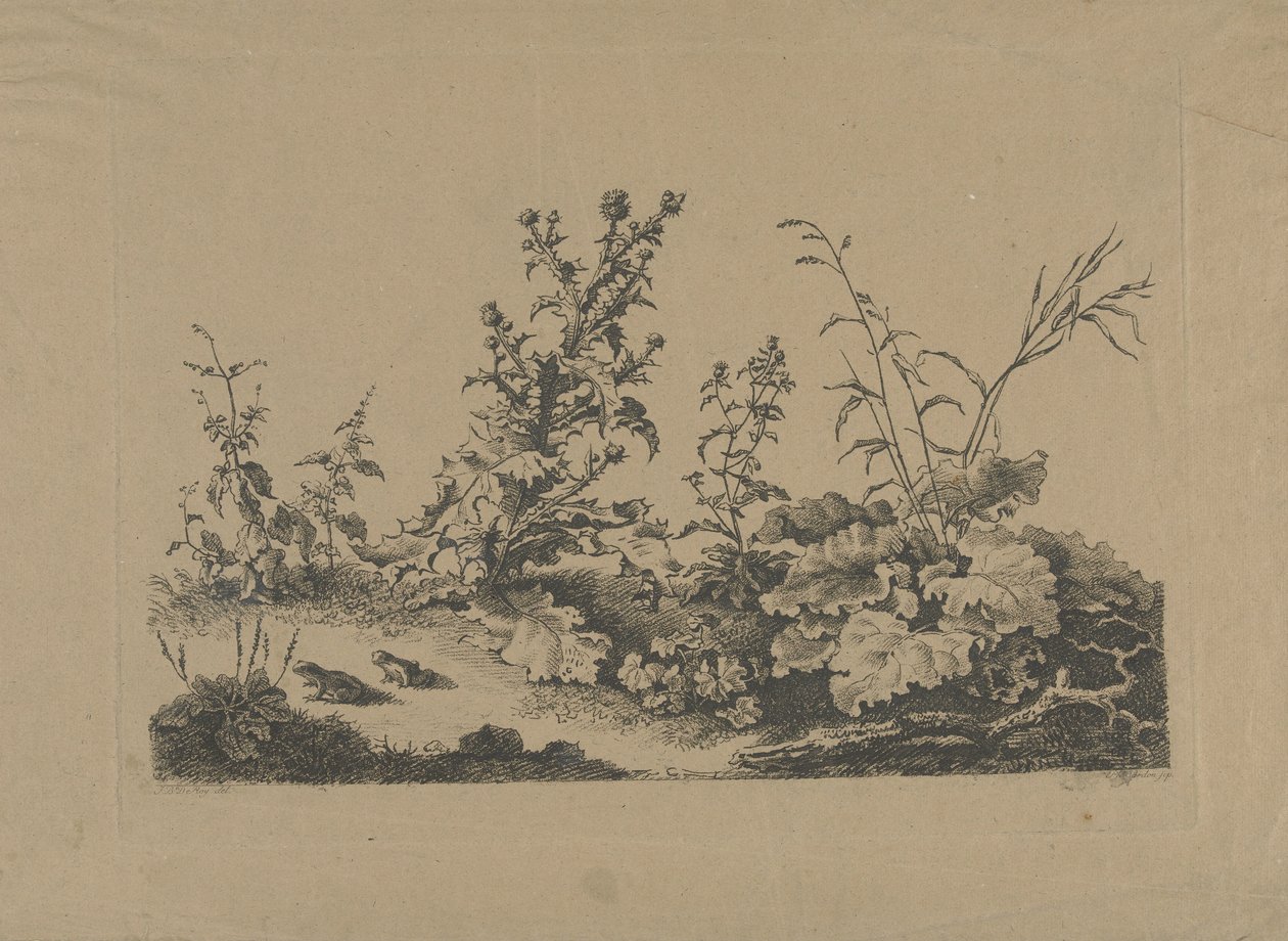 Landschapsstudie met distels en kikkers door Philippe Cardon