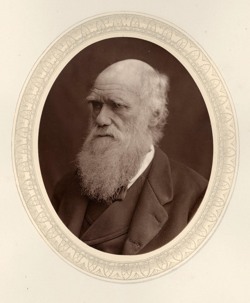 Portret van Charles Darwin 1809-1882, 1877 door Photo studio Lock and Whitfield