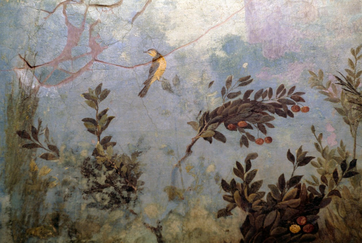 Vogel, detail van een fresco dat een tuin met bomen en vogels afbeeldt, uit het Huis van Livia op de Palatijnse heuvel, Rome, Italië. Romeinse beschaving door Blaise Nicolas Le Sueur