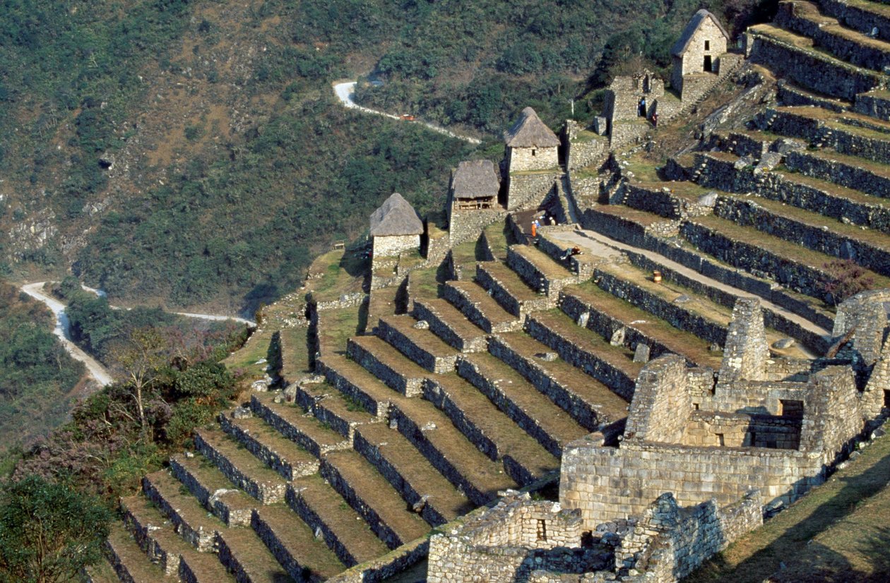 Terrassen, Machu Picchu (Unesco Werelderfgoedlijst) door Blaise Nicolas Le Sueur