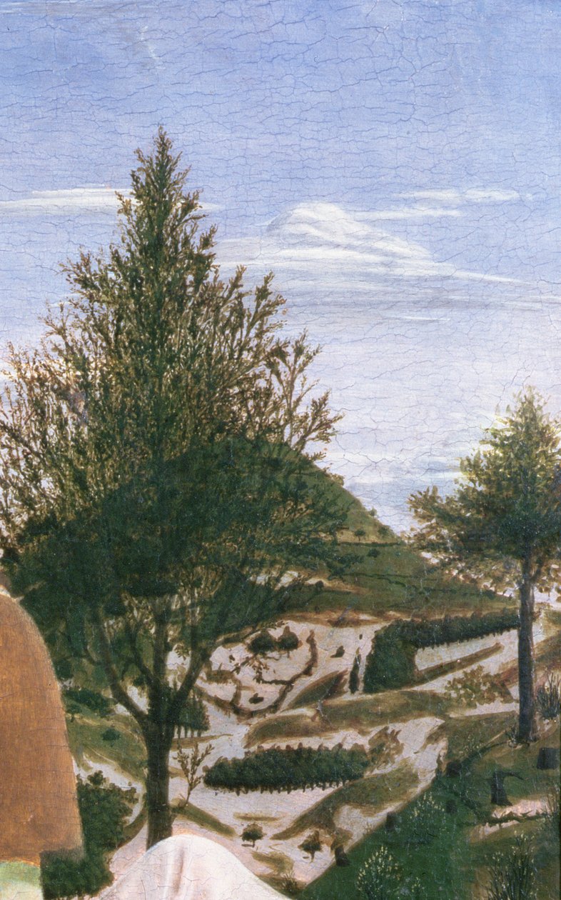 Doop van Christus, 1450s (tempera op paneel) (detail) door Piero della Francesca