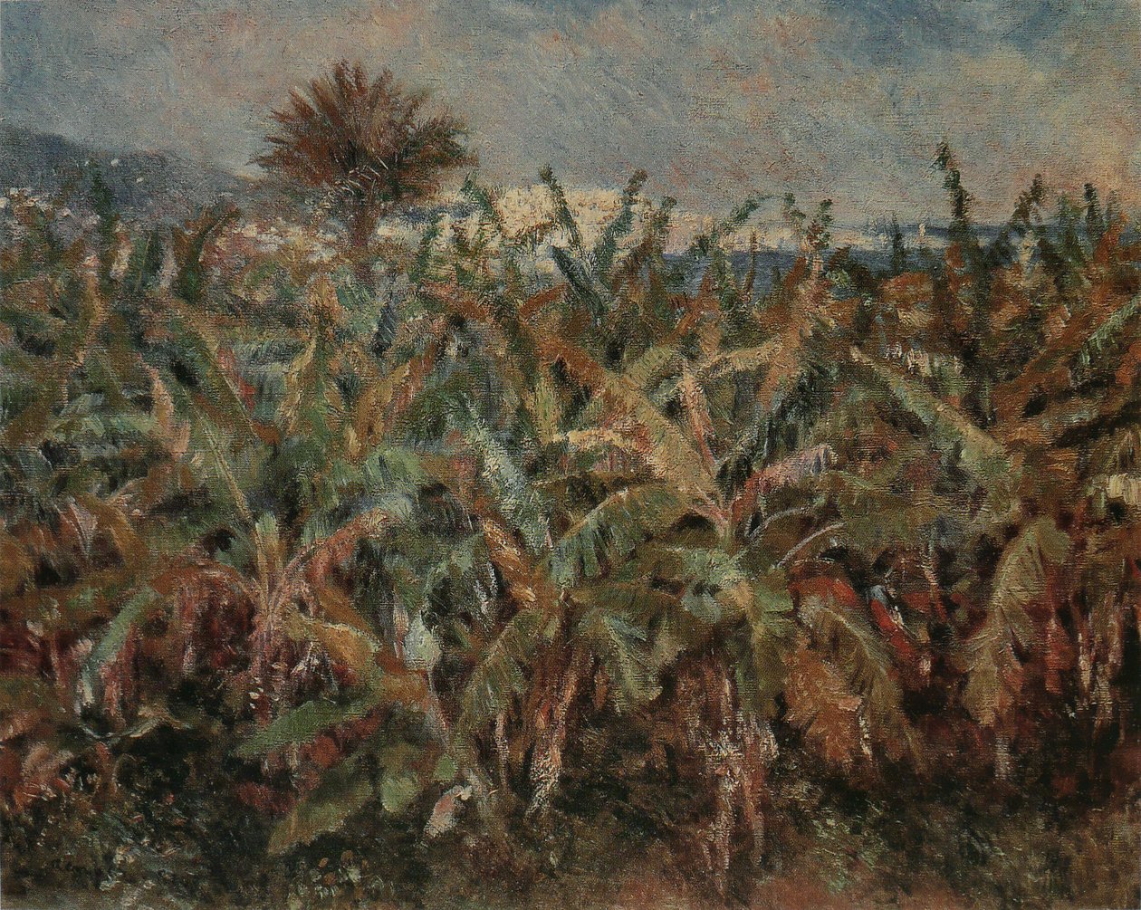 Bananenveld door Pierre Auguste Renoir