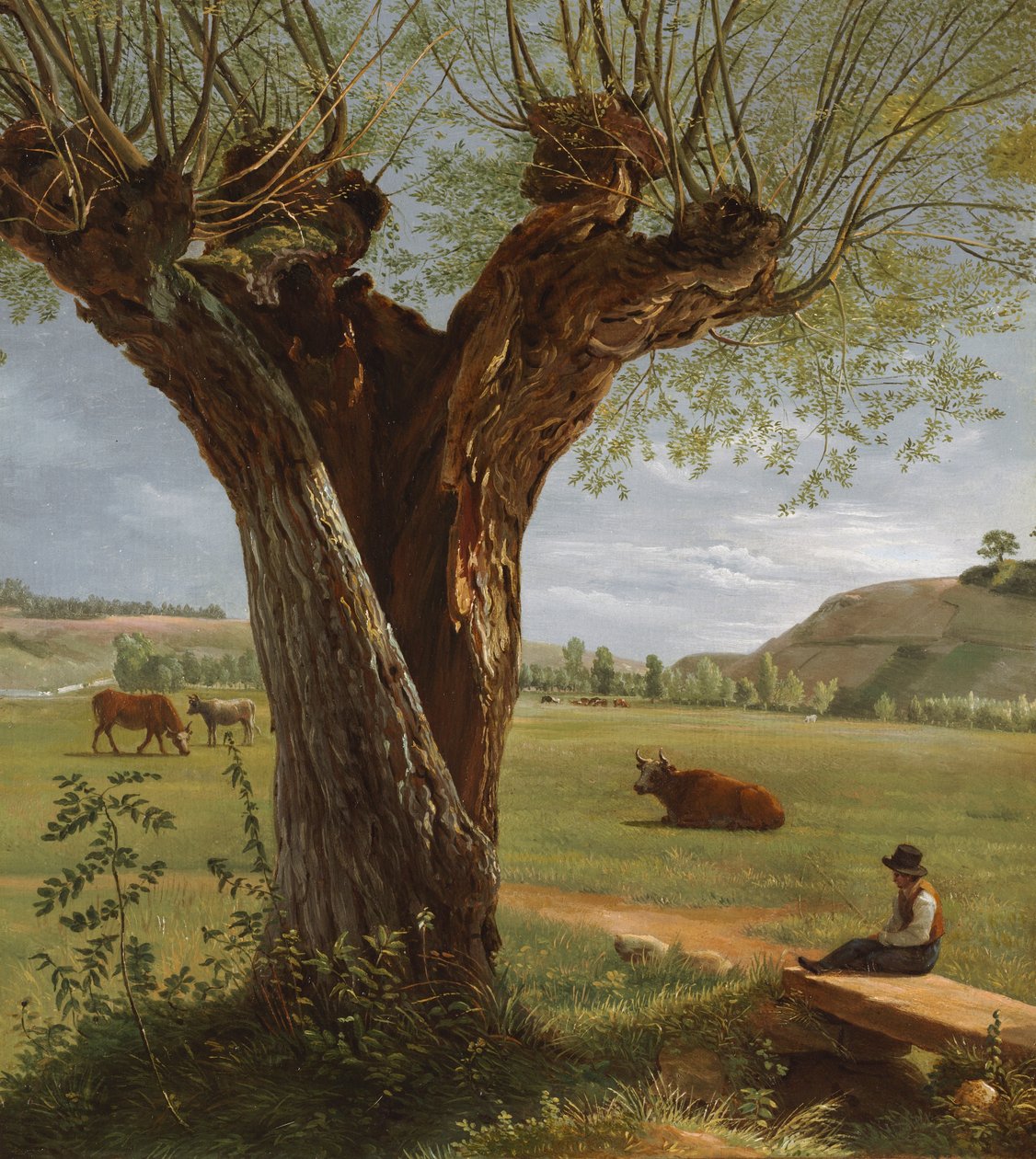 Knotwilg, na 1804 door Pierre Jean Boquet