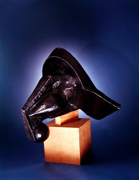 Hoofd van een Paard door Pierre-Maurice-Raymond Duchamp-Villon