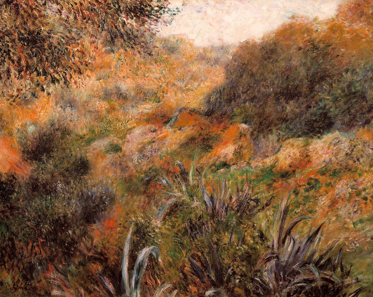 Algerijns landschap, de kloof van de wilde vrouw door Pierre Auguste Renoir