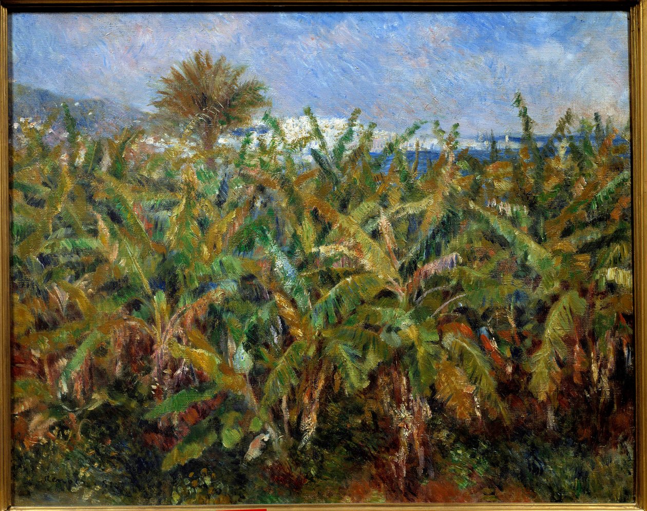 Een veld met bananenbomen door Pierre-Auguste Renoir