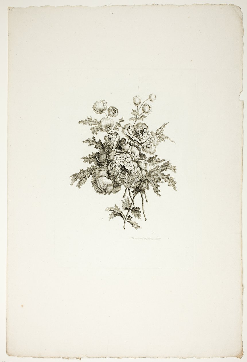 Boeket met pioenen, uit een verzameling van verschillende boeketten bloemen, bedacht en getekend door Jean Pillement en gegraveerd door P. C. Canot door Pierre Charles Canot