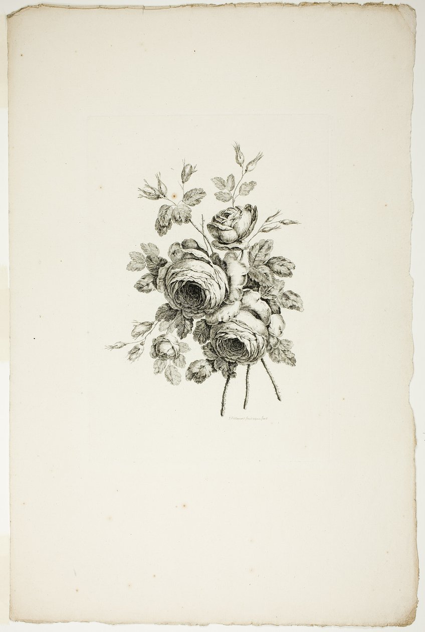 Boeket met rozen, uit de collectie van verschillende bloemboeketten, uitgevonden en getekend door Jean Pillement en gegraveerd door P. C. Canot door Pierre Charles Canot