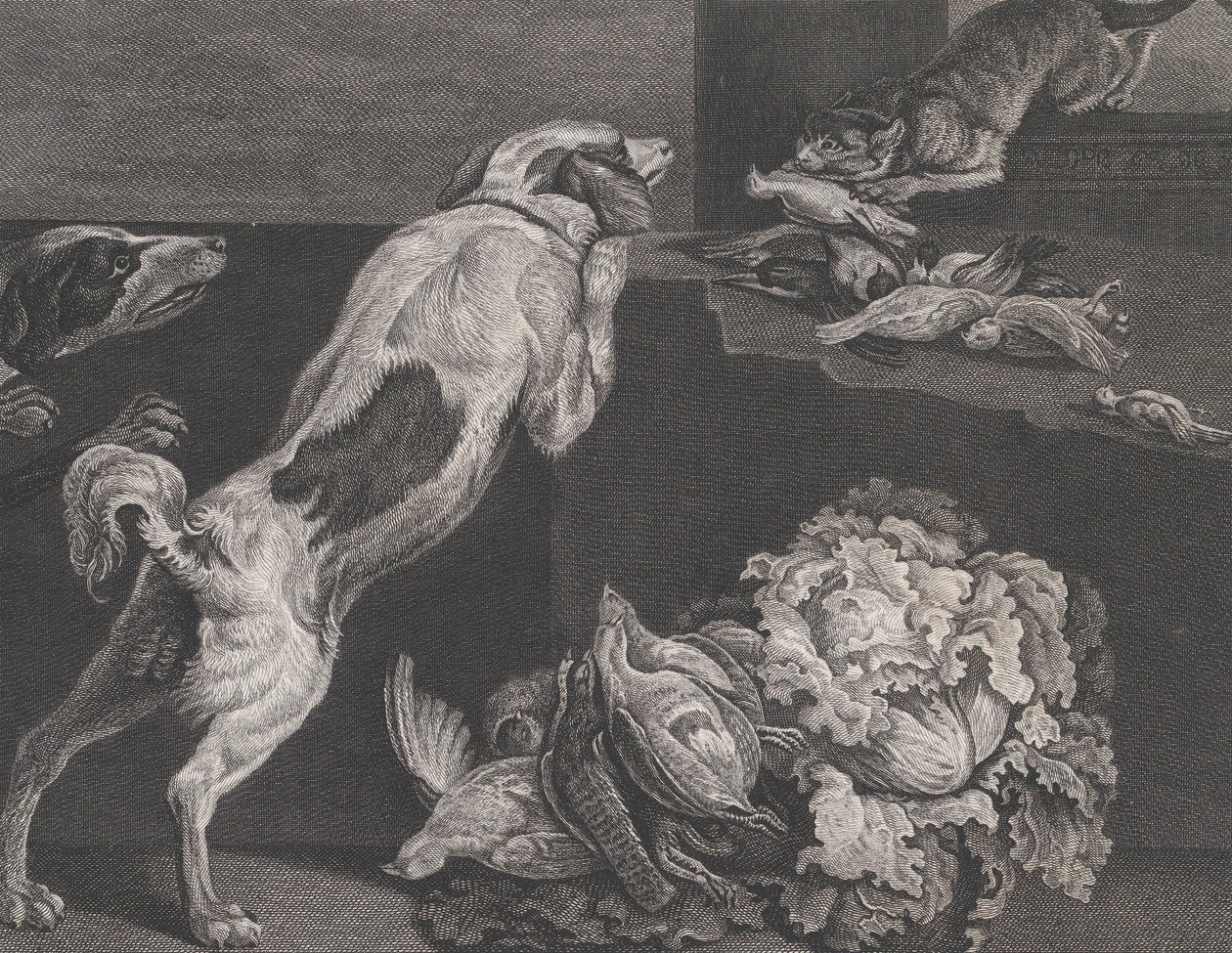 Honden en Stilleven, 1778 door Pierre Charles Canot